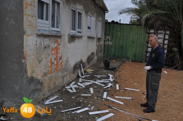 kaneswa7akhdra2lud316 (1).JPG